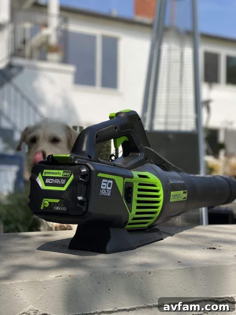 Greenworks Pro 60V Max Blower