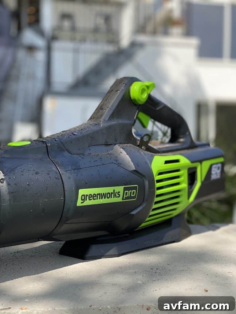 Greenworks 60V Blower in action