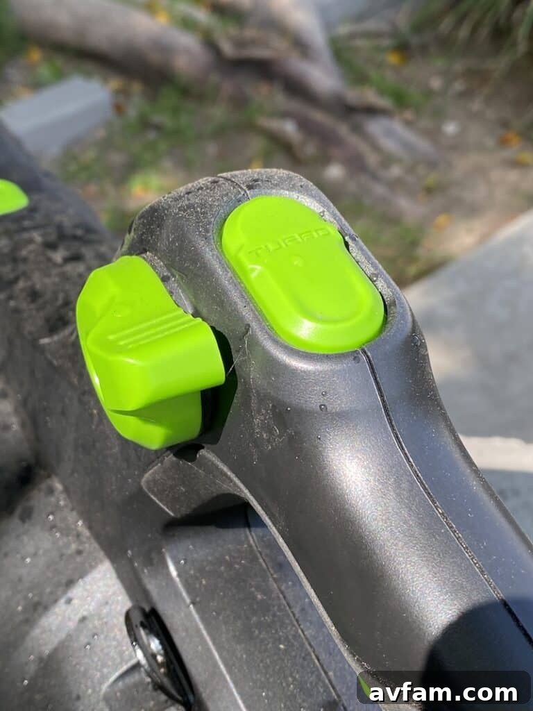 Greenworks 60V Blower Speed Control