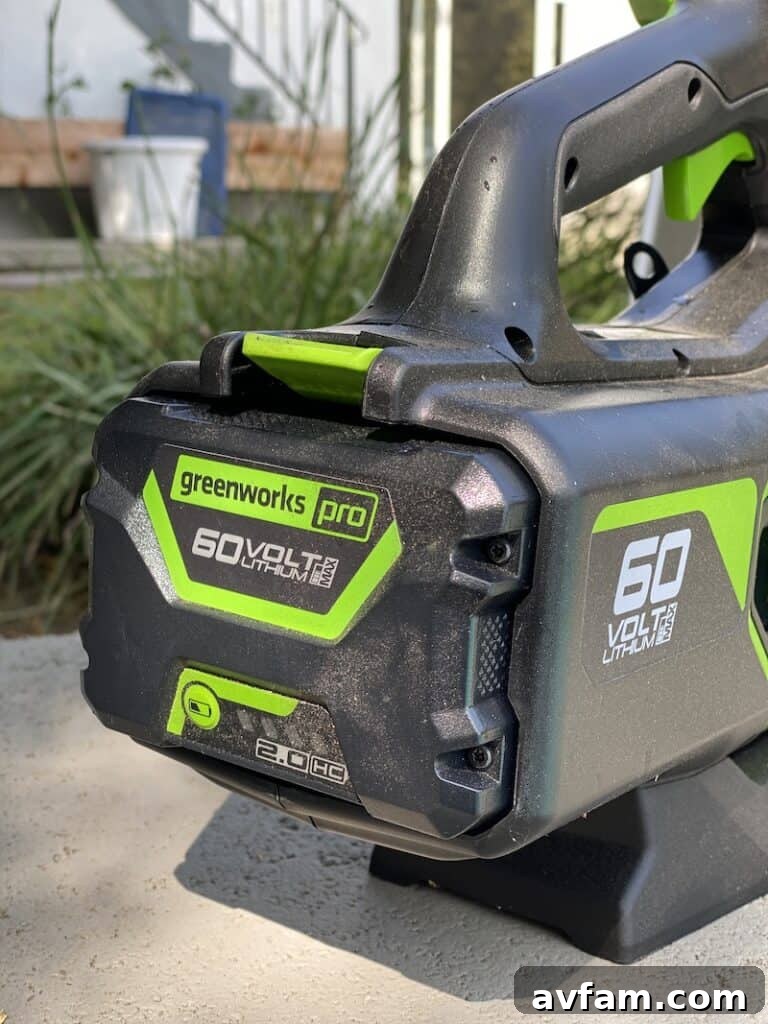 Greenworks 60V Blower with Battery