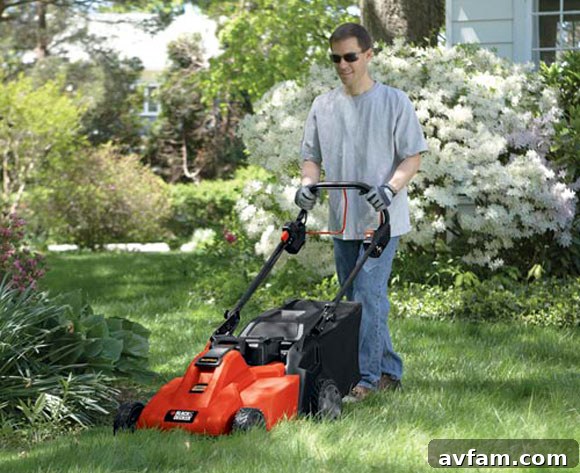 rechargeable-mower-lawn.jpg