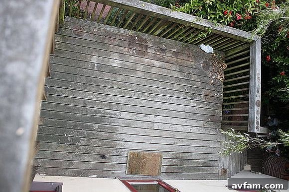 From Grime to Gleam: Pressure Washing Transformations 2 Before Power Washing: A Green and Gray Redwood Deck Covered in Grime