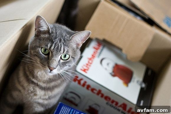 8 Game-Changing Unpacking Tips for a Speedy Move-In 2 UnpackingTips.jpg