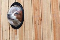 Curious Canine Fence Window