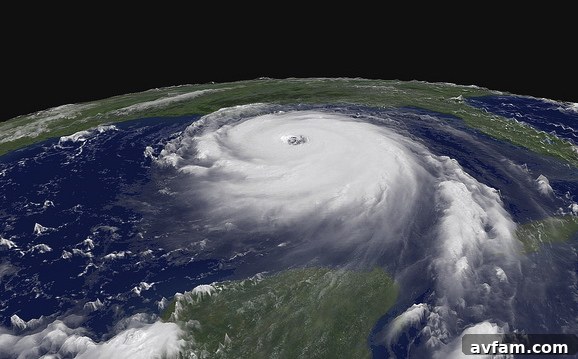 Comprehensive Hurricane Safety Guide: Preparing Your Home and Family for the Storm