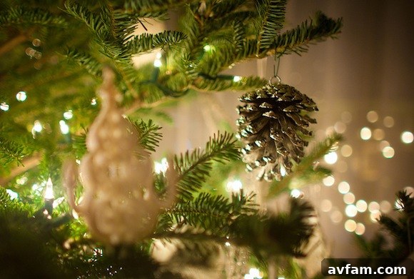 A beautifully decorated real Christmas tree standing tall in a festive living room.