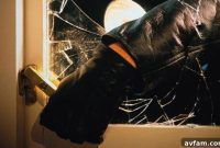 Fortify Your Home Against Burglary