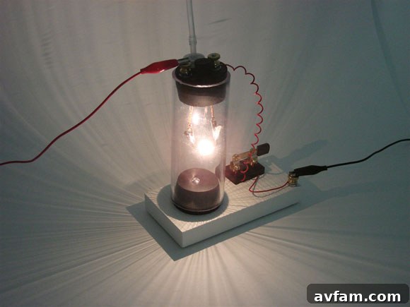 DIY Light Bulb Science Project Kit DIY Light Bulb Kit: A Hands-On Guide to Making Your Own Incandescent Bulb