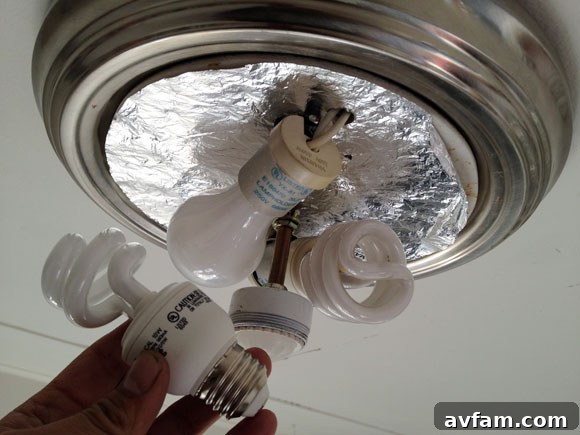 Get Ready Your Lightbulbs Are Changing This Year 2 changing-lightbulbs-cfl.jpg