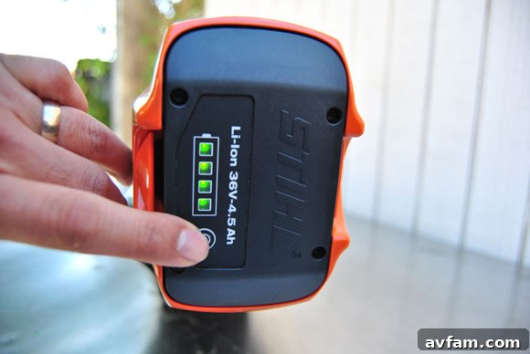 fuel-gauge-battery-stihl.jpg