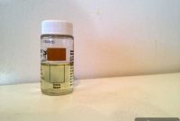 Detecting Lead Paint in Your Home