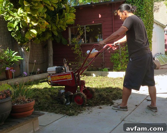 Close-up of tilling process for sod tilling the soil for sod