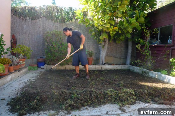 Raking to level the soil before sodding raking the leveled soil