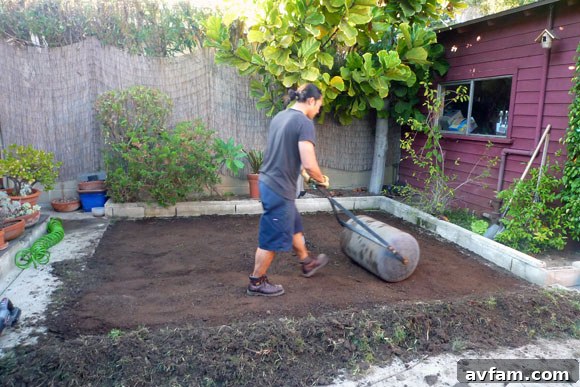 Using a lawn roller for a smooth finish using a roller on new lawn base