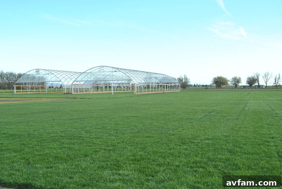Vast research lawn areas at NexGen