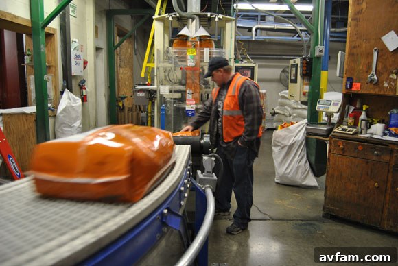 Factory worker inspecting seed bags