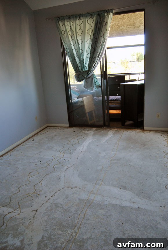 Carpet Removal Process