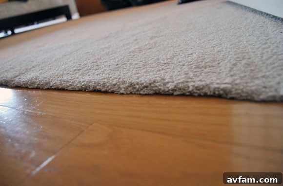 Newly Carpeted Floors in a Modern Condo