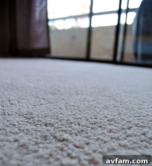 Stainmaster Carpet Detail Closeup