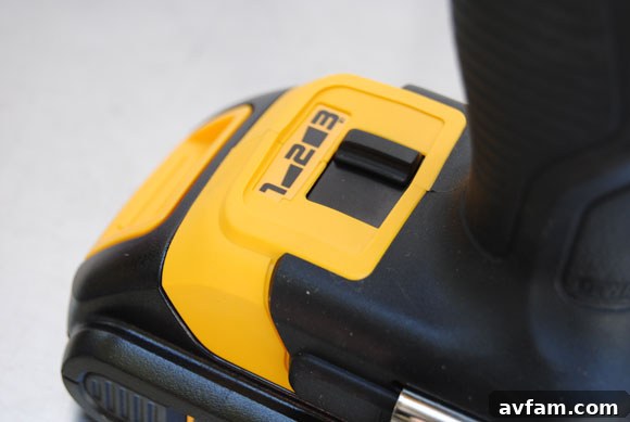 DeWALT battery with fuel gauge and speed selector