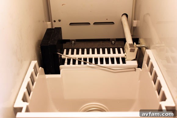 Clean Ice Maker Cleaned Ice Maker Components