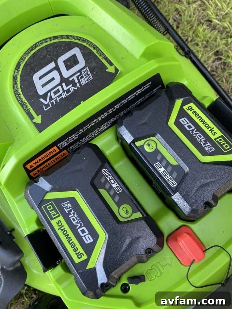 Person using a Greenworks cordless leaf blower in a garden