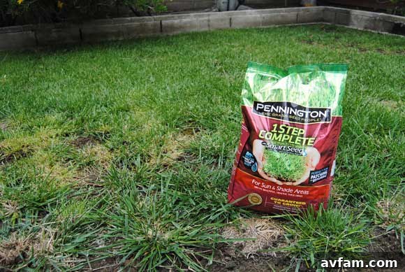 Pennington 1 Step Complete grass seed bag