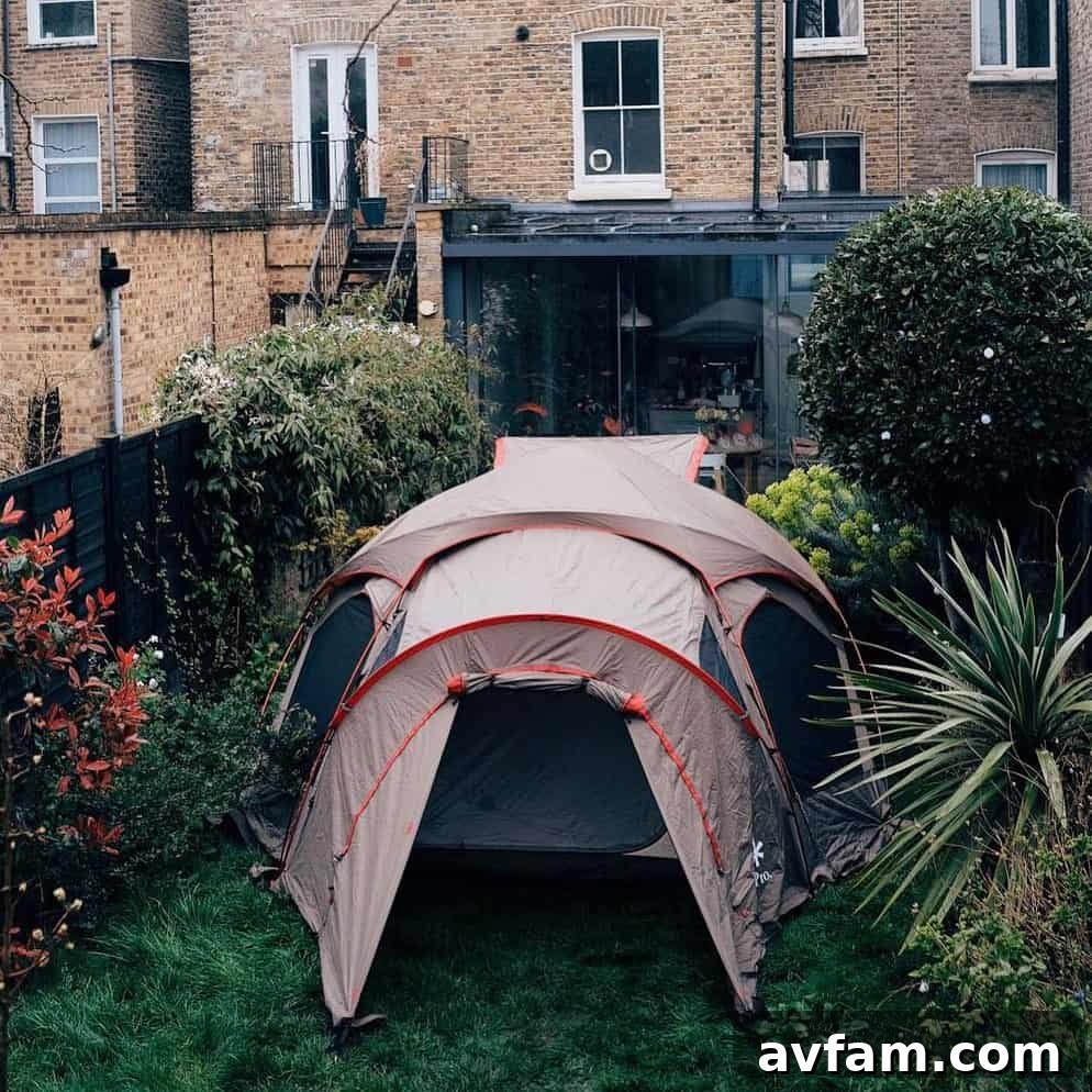 Essential Gear for Backyard Camping Assortment of modern camping and outdoor gear laid out for a backyard adventure
