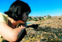 Exploring Tide Pools Safely and Sustainably