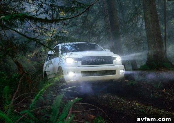 Overhead view of the Sequoia TRD Pro's roof rack system