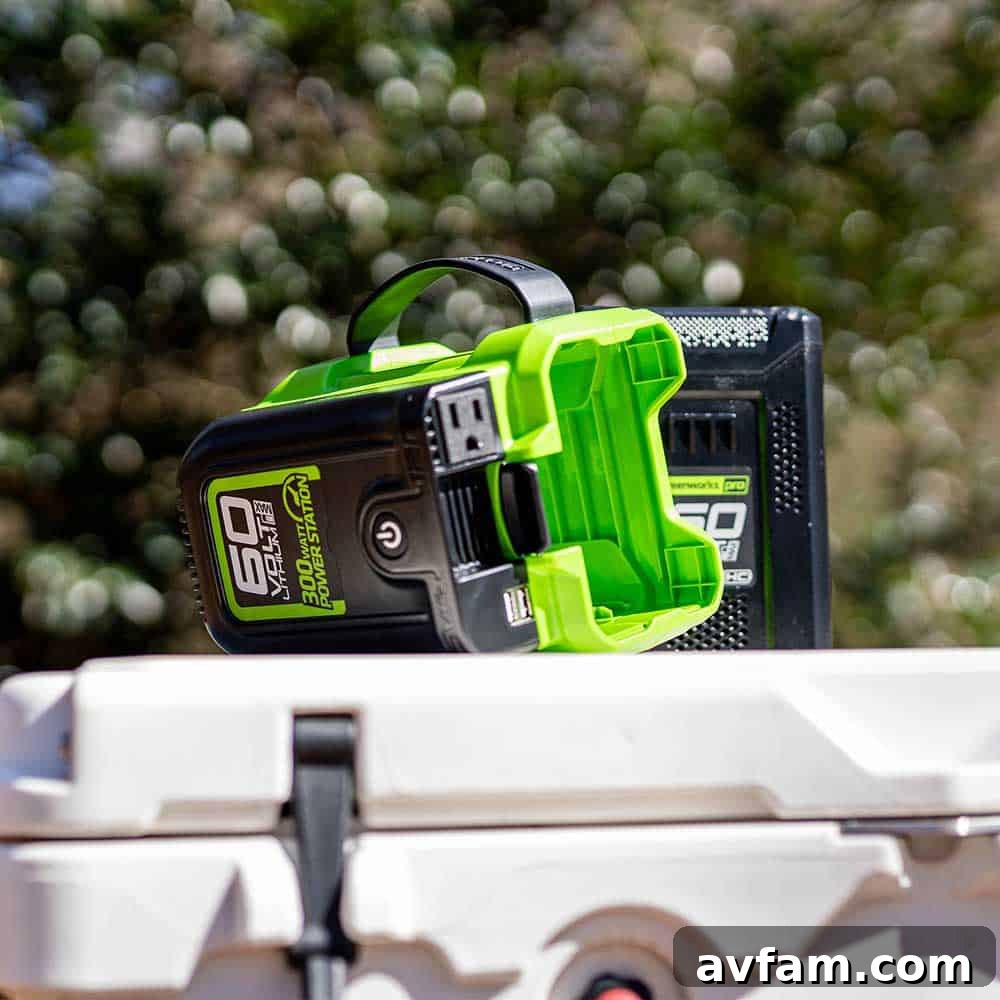 Greenworks 300W Power Inverter with various cables connected to its outlets