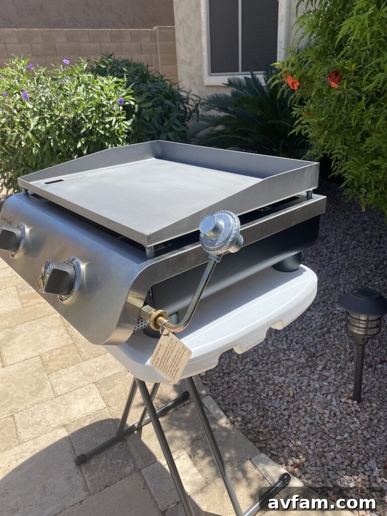 Detailed shot of the griddle's control panel and robust construction.