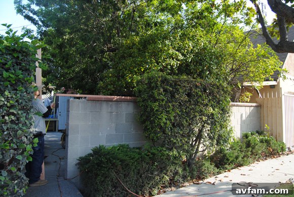 fence-before.jpg