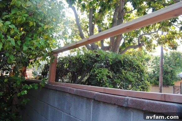 fence-frame.jpg