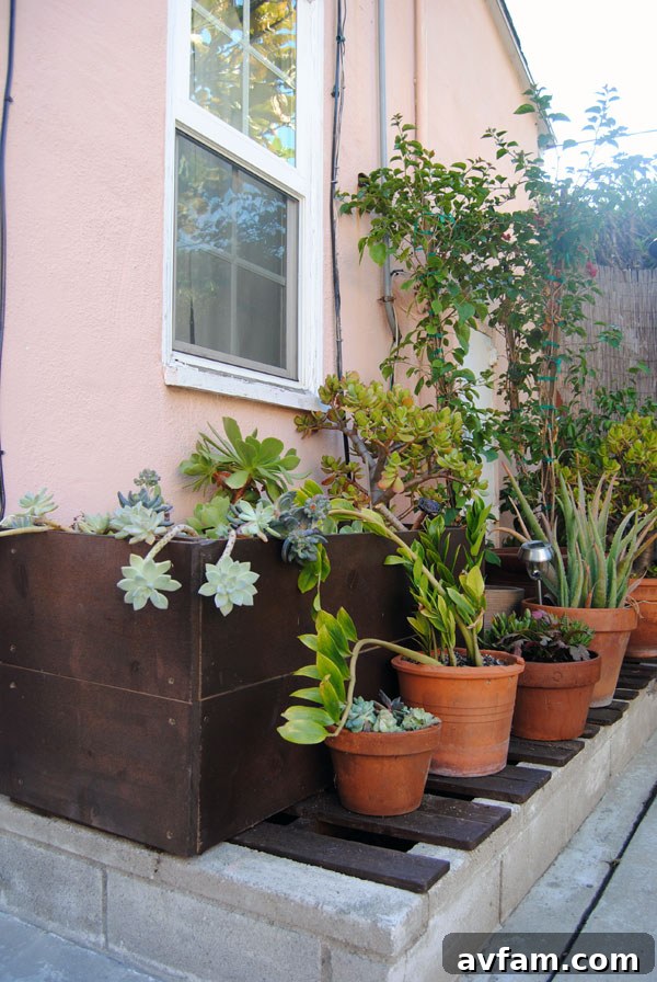 lowes-planters.jpg