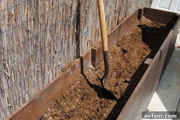 Specialized Soil Mix Custom Soil Mix for Bougainvillea Planting