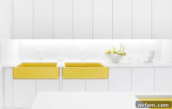 Kohler Adler Piccadilly Yellow Sink