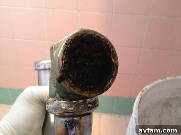 Severe clog found in the wall pipe ptrap-clogged.jpg