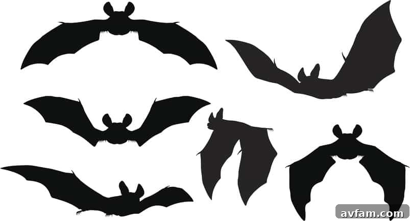 Flying Bat Silhouettes for Halloween Silhouettes set of bats flying