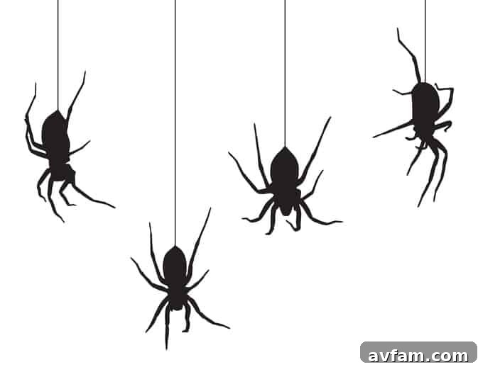 Spider and Web Silhouettes Four black spiders hanging from their webs on a white background.