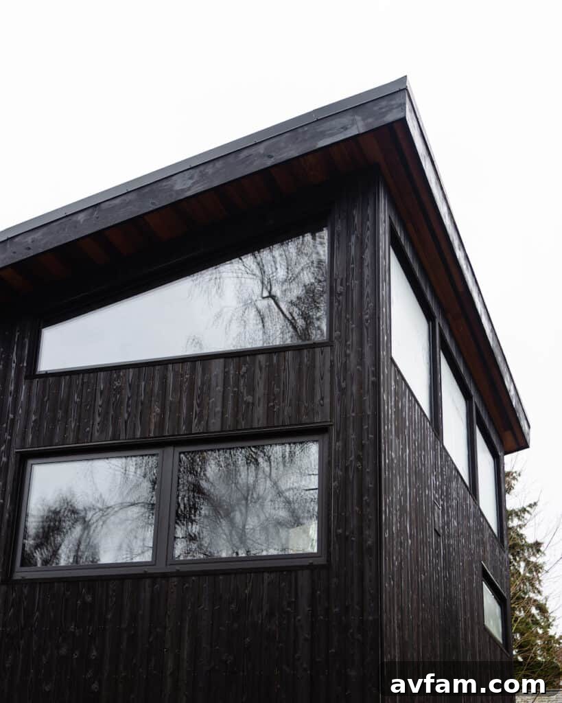Unique building design incorporating angular charred wood elements.