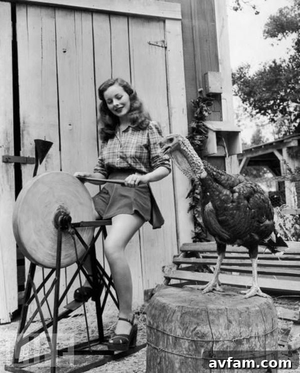 vintage-thanksgiving-pinupgirl.jpg