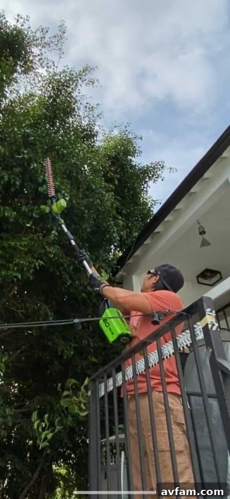 User safely operating a pole hedge trimmer from ground level