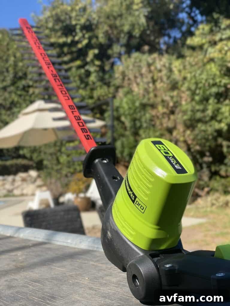 Greenworks 60V Pole Hedge Trimmer reaching tall shrubs