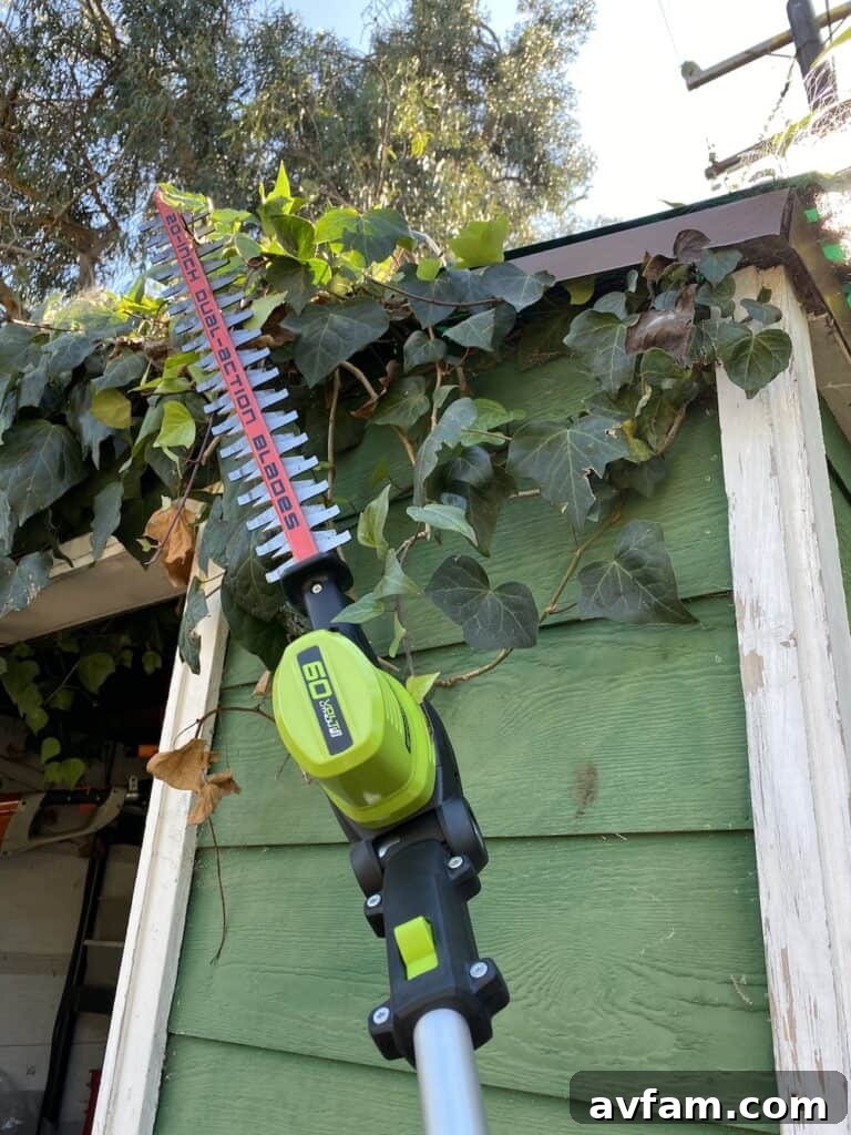 Close-up of Greenworks 60V battery on pole hedge trimmer