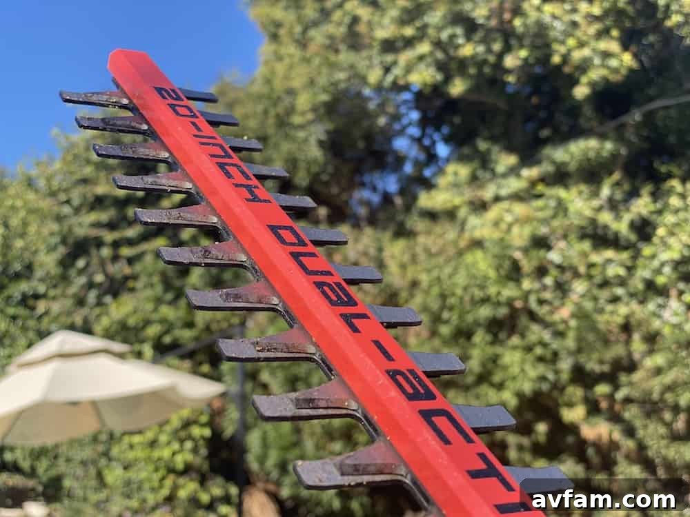 Greenworks pole hedge trimmer blade extended