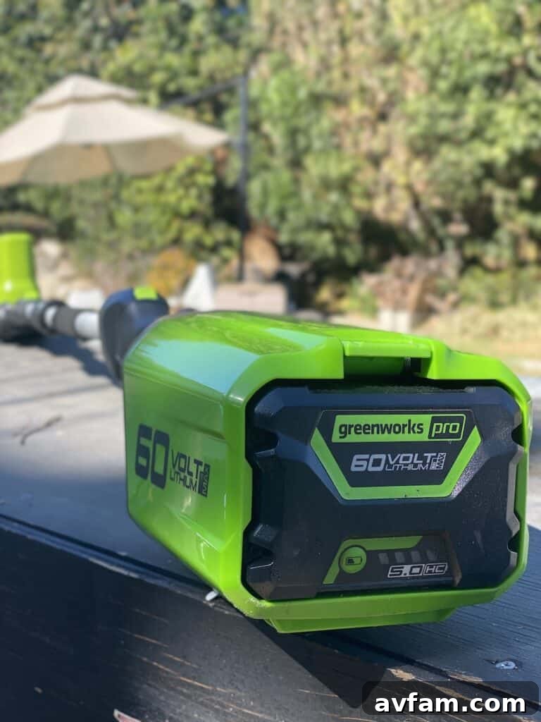 User admiring a freshly trimmed hedge with Greenworks 60V Pole Hedge Trimmer