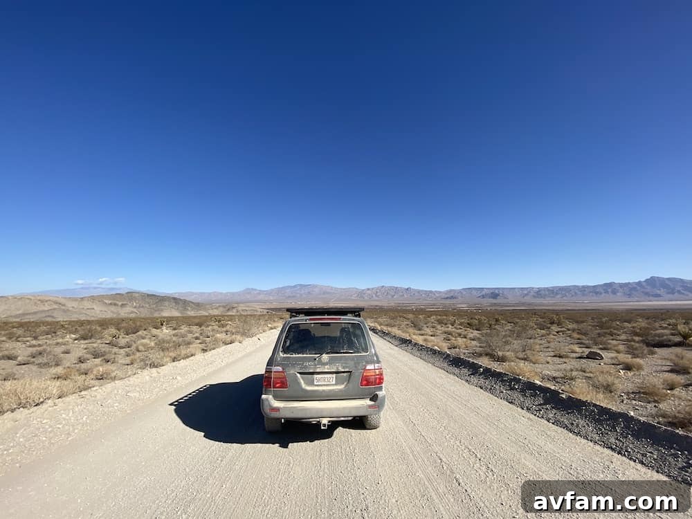 Driver's side view of the Land Cruiser 100 Series