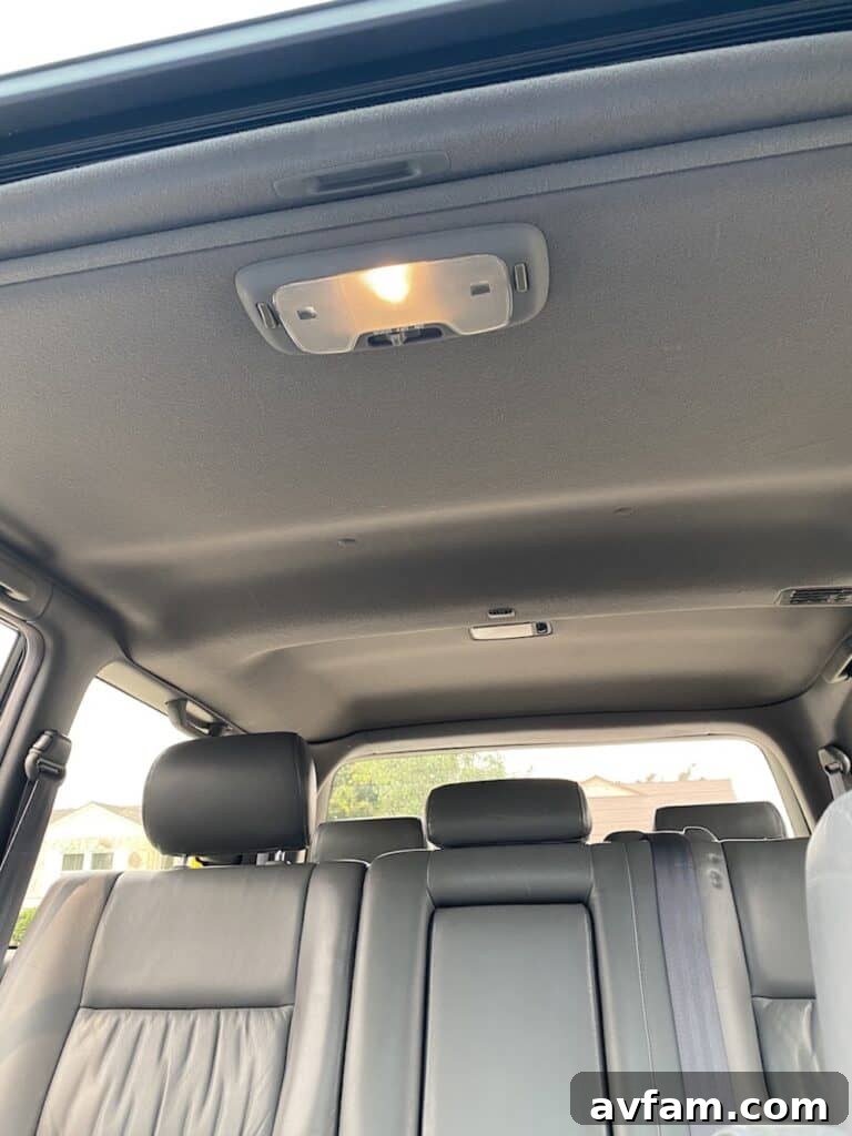 Front corner view of the Land Cruiser 100 Series in a natural setting
