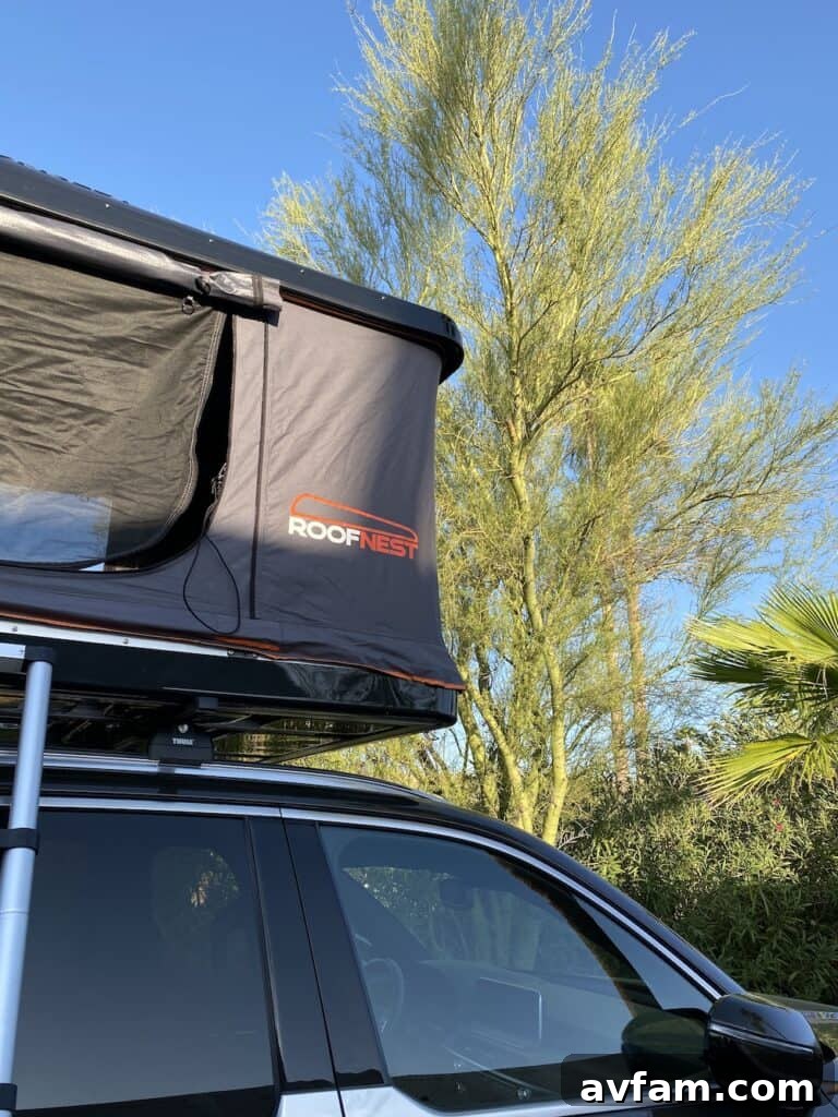 Roofnest Sparrow window with awning poles deployed